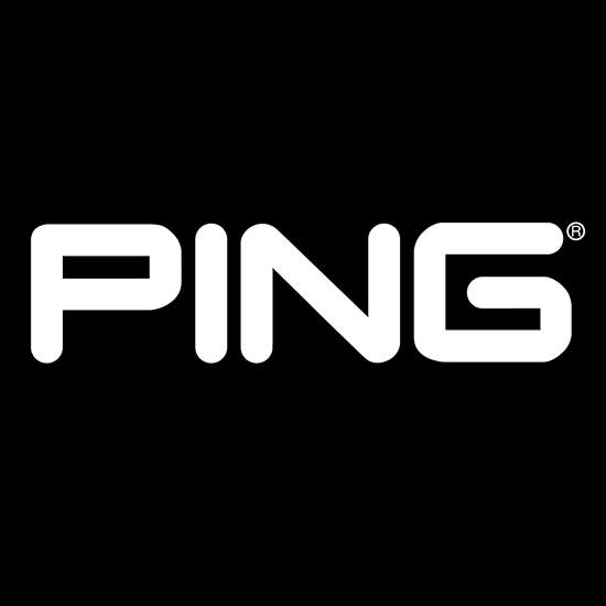 Bantuan bagi Blogger baru dengan Ping